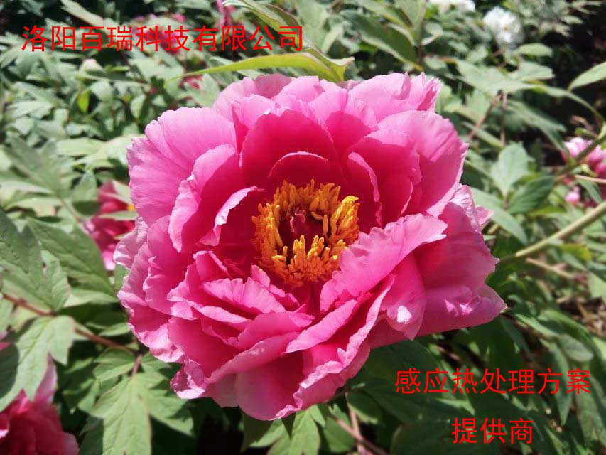 1587021502102670.png 圖片15.png